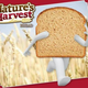 Illustration for article titled 48,000 Bread Loaves Recalled Due to Possible Broken Glass Contamination